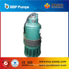 Submersible Pump with Float Switch, Water Pump, Garden Pump